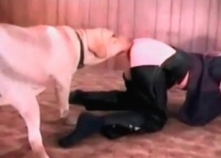 Retriever is drilling her tight twat