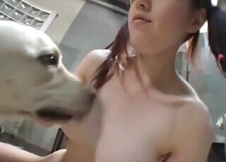 Homemade animal sex