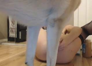 Hot white hound is licking a pussy