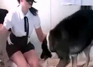 Stunning doggy is banging a pussy