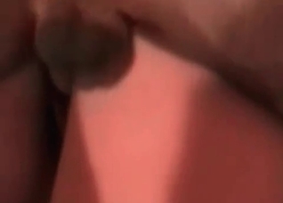 Fast sex with a hot British hound
