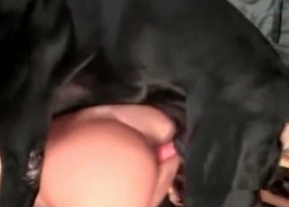 Young Doberman fucks a redhead girl
