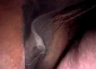 Horse is getting an awesome creampie