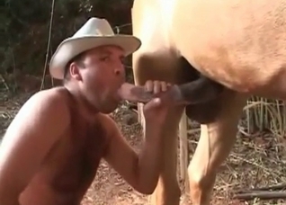 Cowboy is sucking a tasty wiener