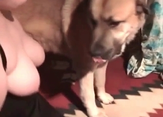 Big trained dog fucks a nice snatch