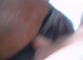 Horse is being pounded hard in the anal