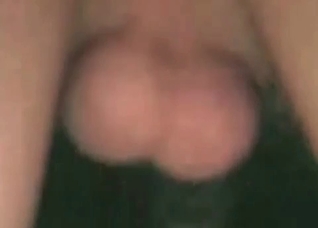 Horse is being creampied so hot