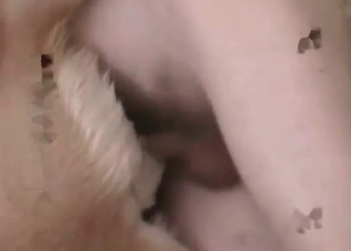 Zoophile fucks with a nice doggy