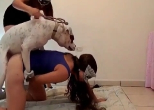 White puppy enjoys bestial action