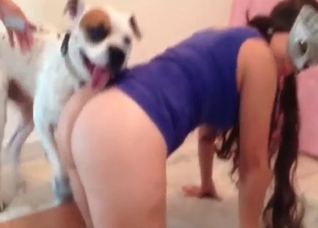 White puppy enjoys bestial action