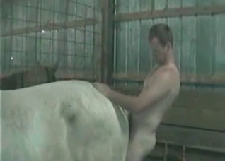 Filthy stallion is being fucked