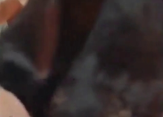Sexy chick is being fucked from behind