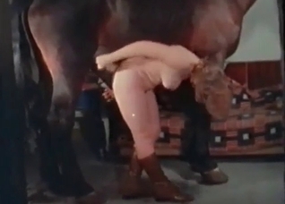 Sexy chick is being fucked from behind