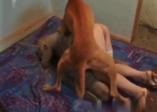 Hardcore animal porn with a nice chick