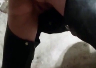 Stallion fucks with her tight twat