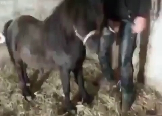 Stallion fucks with her tight twat