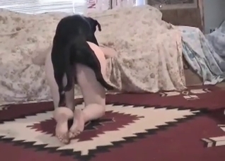 Awesome black puppy plays with a hot redhead