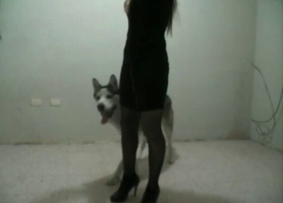 Husky fucks her small vagina so hard