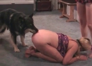 Awesome doggy action in the close-up
