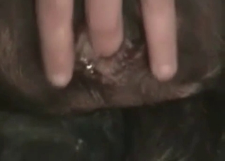 Dude want to fuck this horse in the ass