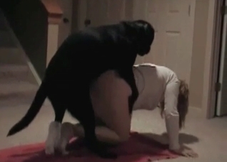 Bestial sex with a sexy black puppy