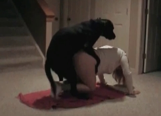 Bestial sex with a sexy black puppy