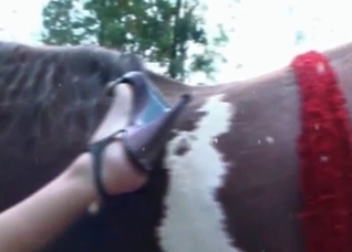 Perverted bestial action in close-up