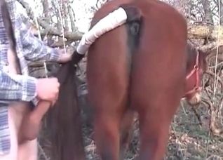 Dirty anal sex with a brown mare