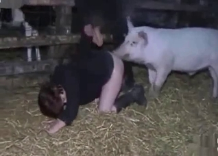 Nasty pig is banging a dirty zoophile