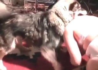 Busty babe fucks with a young husky