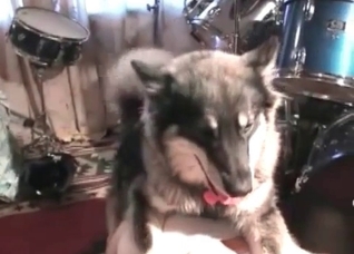 Busty babe fucks with a young husky