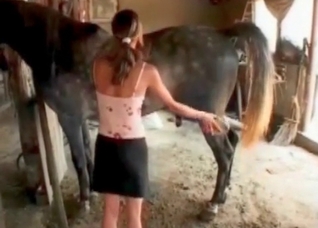 Zoophile enjoys animal penetration