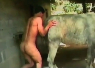 Horse is being anally pounded at the farm