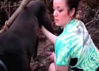 Black dog is being wanked outdoors