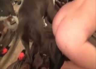 Hot babe and her lovely doggy