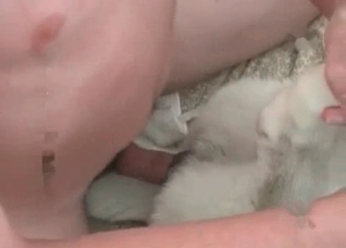 Truly nasty bestial sex in the bed
