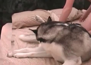Truly nasty bestial sex in the bed
