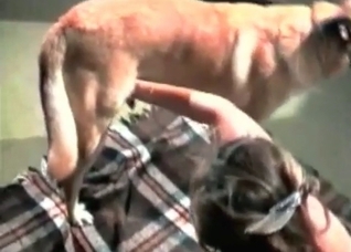 Hardcore British retriever fucks nasty