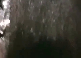 Amazing anal sex with a black horse