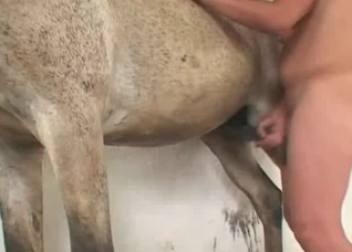 Hot anal sex at the abandoned farm