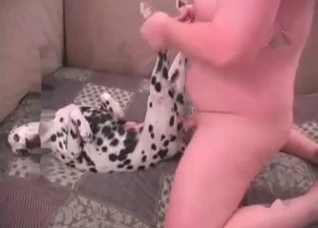 Hot doggy is being drilled so hard