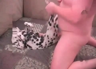 Hot doggy is being drilled so hard