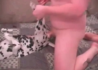 Hot doggy is being drilled so hard