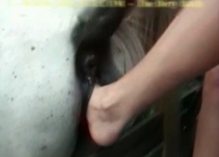 Filthy action with a hot horse