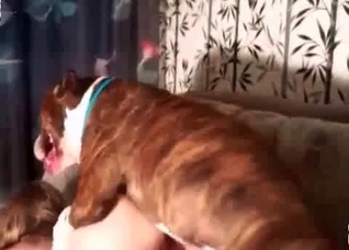 Amazing animal porn action with a zoo slut