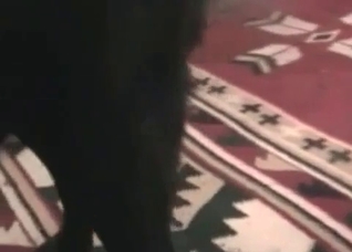 Amazing animal sex with an Asian