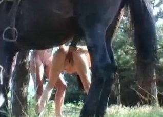 Dark horse drills a tight small vagina