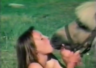 Dirty outdoor action with a stallion
