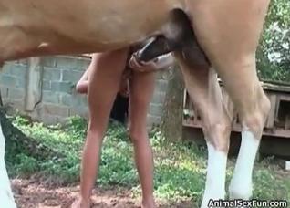 Impressive outdoor sex with a brunette