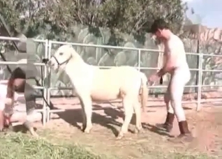 Sweet white horse enjoys filthy action